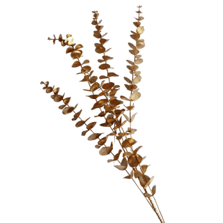 Branche d'eucalyptus doré mat