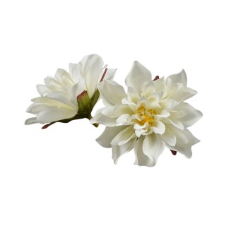 Fleur Dahlia Ivoire