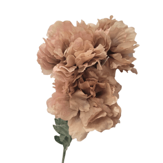 Tige 3 pivoines Rose