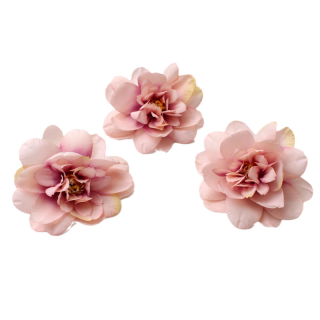 Pivoine dégradé Rose - 8x8cm